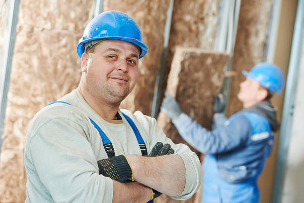 Best Insulation Installation Services in Lake Barcroft, VA