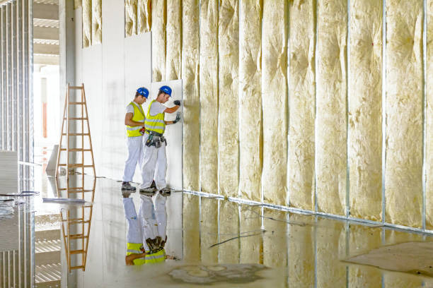 Best Insulation for Specific Applications in Lake Barcroft, VA